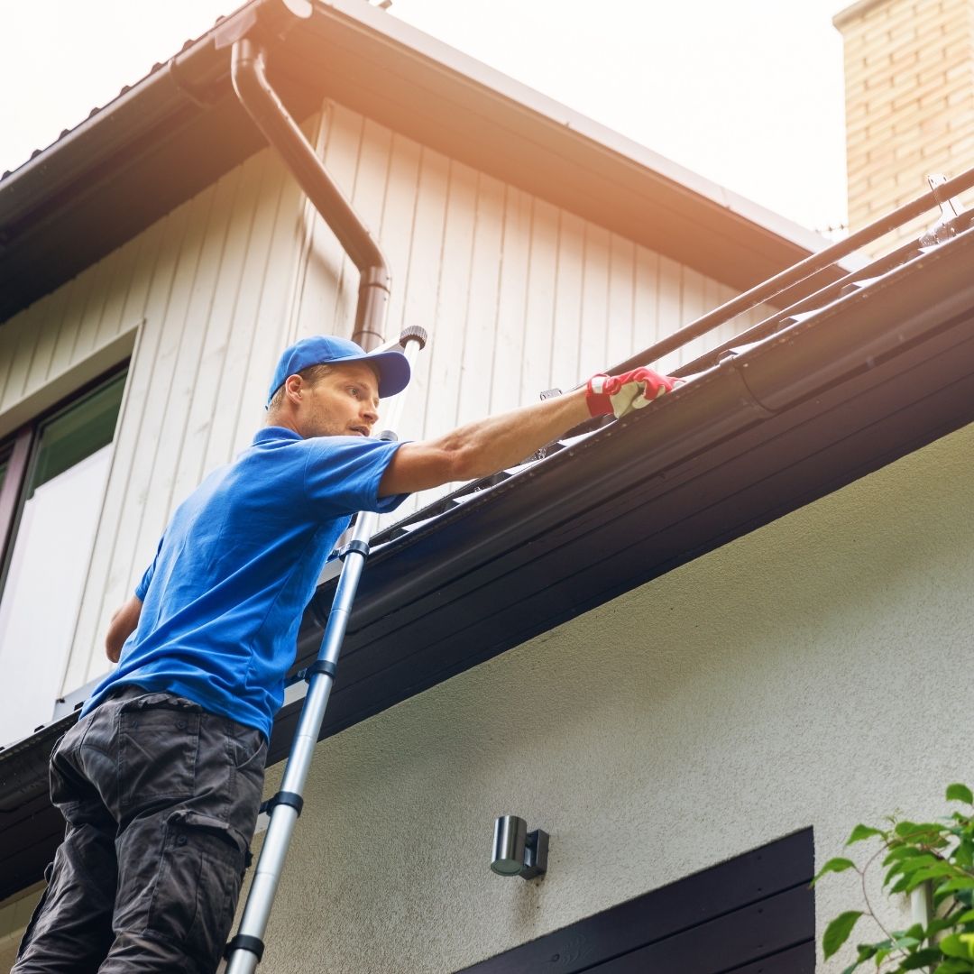 building maintenance edinburgh
