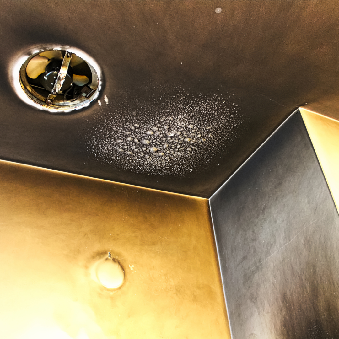 insurance repair fire damage edinburgh
